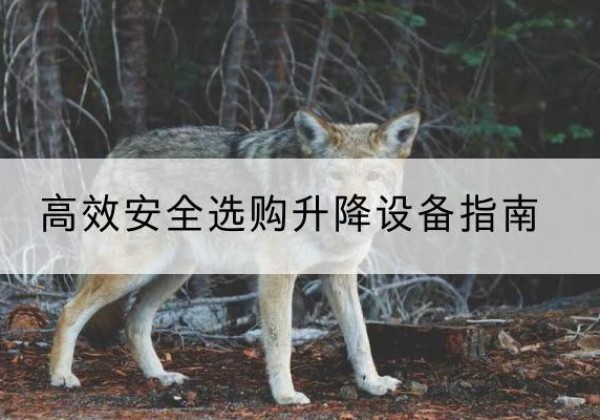 四方台升降货梯厂家推荐-*安全选购升降设备指南