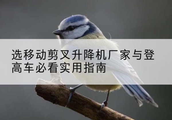 四方台电动升降机厂家-选移动剪叉升降机厂家与登高车必看实用指南